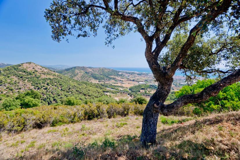 Hotel Sabiote Pineda de Mar Dış mekan fotoğraf